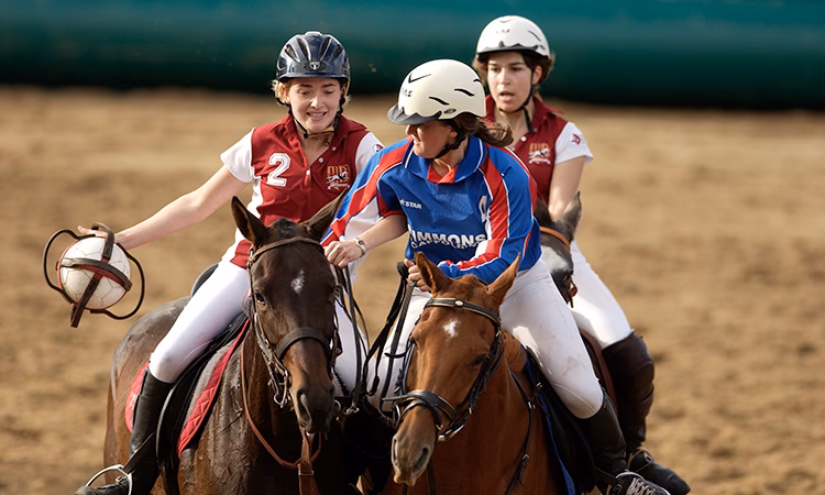 ¿Qué es pato en Argentina?