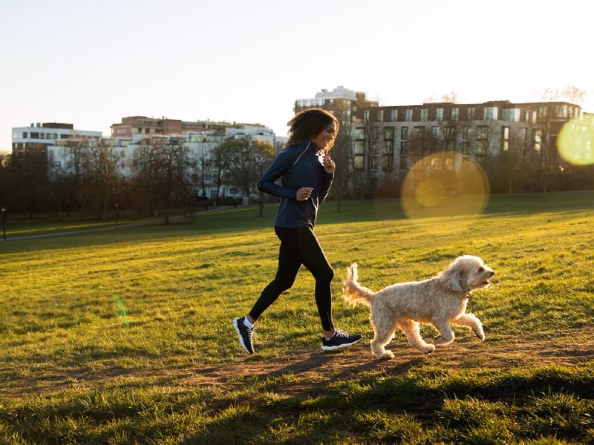 ¿Cuál es el mejor perro para hacer deporte?