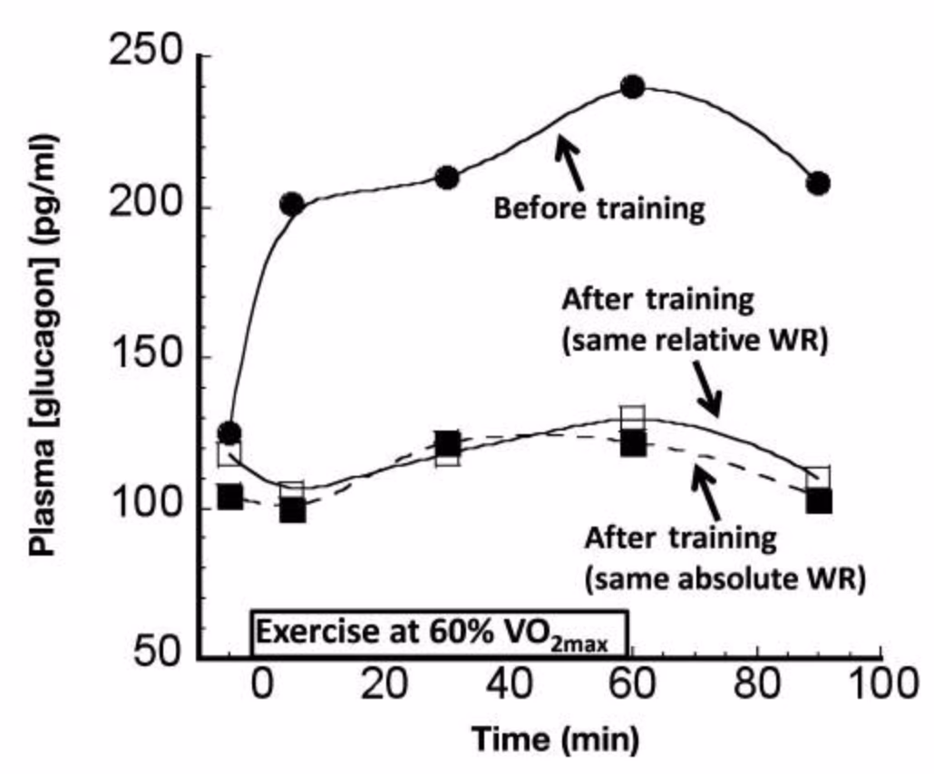¿Es bueno tener un pico de insulina después de un entrenamiento?