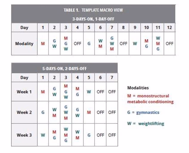 ¿Cuál es el programa ideal de CrossFit?