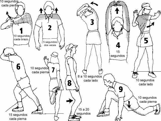 ¿Cómo se organiza el bádminton?