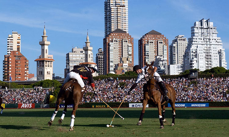 ¿Quién es famoso en el polo argentino?