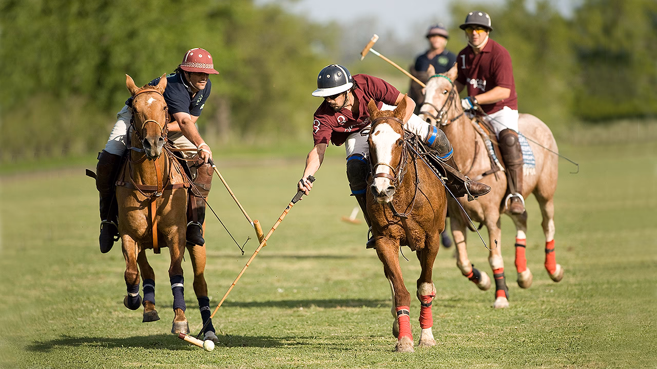 ¿Cómo se le llama al polo en Argentina?