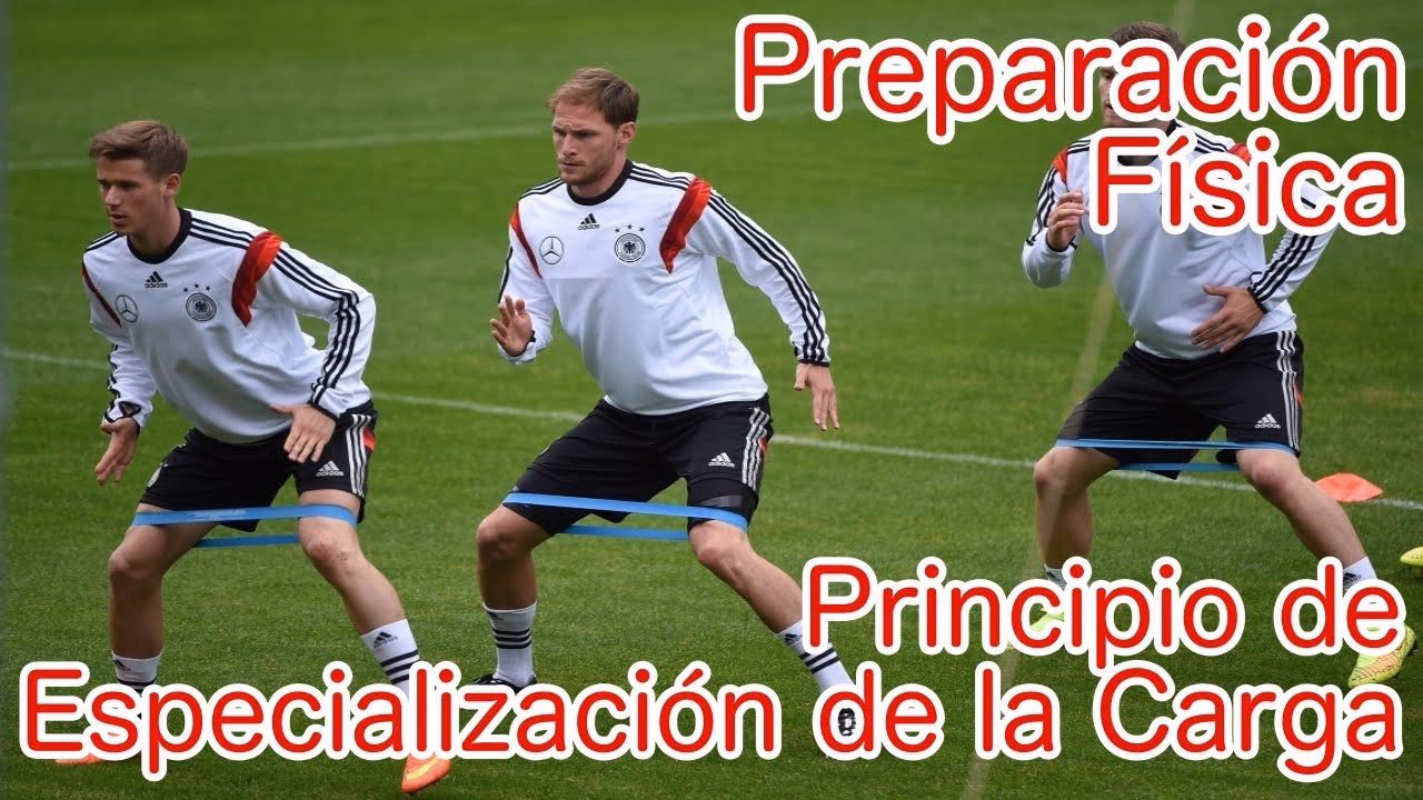 ¿Qué es el principio de especificidad en el entrenamiento deportivo?
