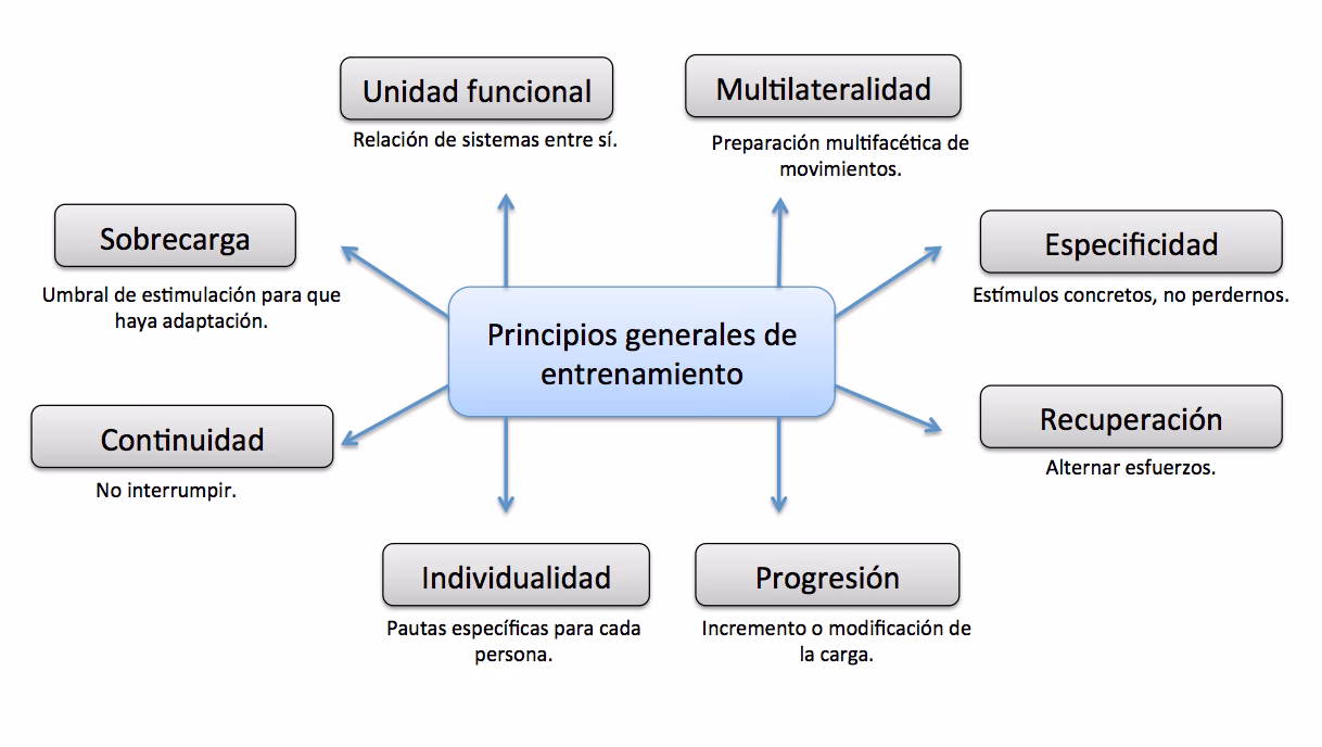 ¿Cuántos principios de entrenamiento hay?