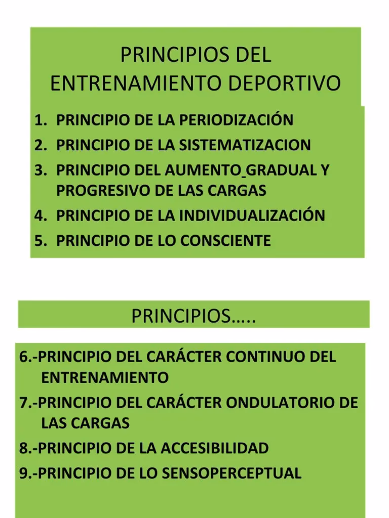 ¿Cuáles son los 7 principios del fitness y explica cada uno?