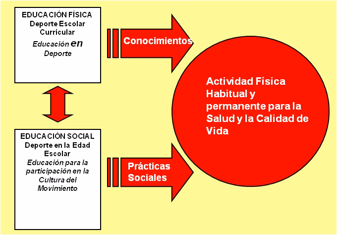 ¿Cuáles son los problemas de rendimiento deportivo?