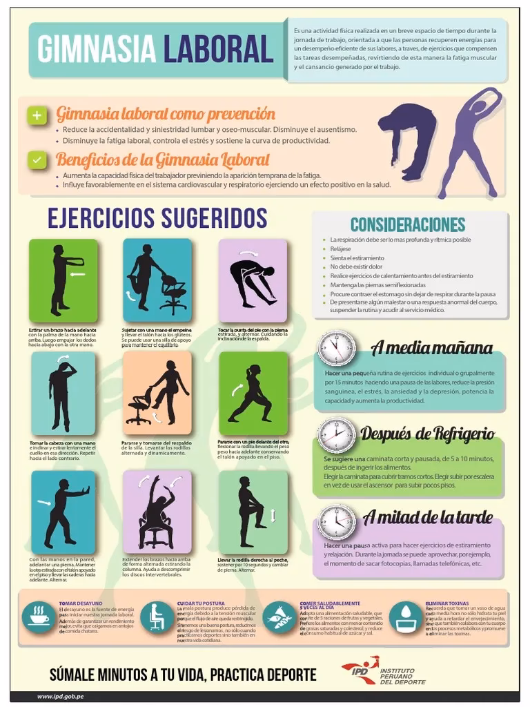 ¿Qué es el programa