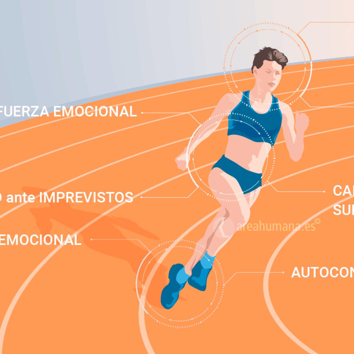 ¿Cuáles son los tres enfoques teóricos utilizados en la psicología del ejercicio y el deporte?