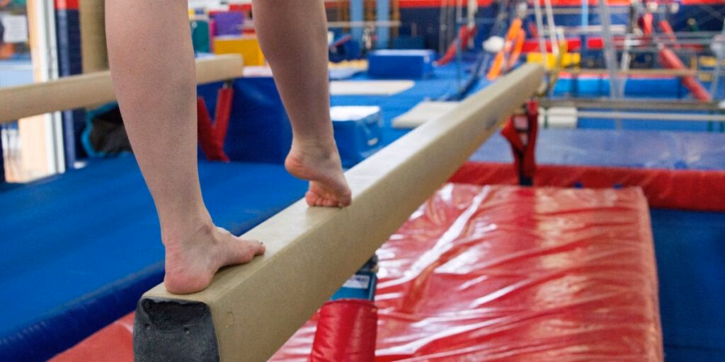 ¿Quién divide la gimnasia en 4 ramas?