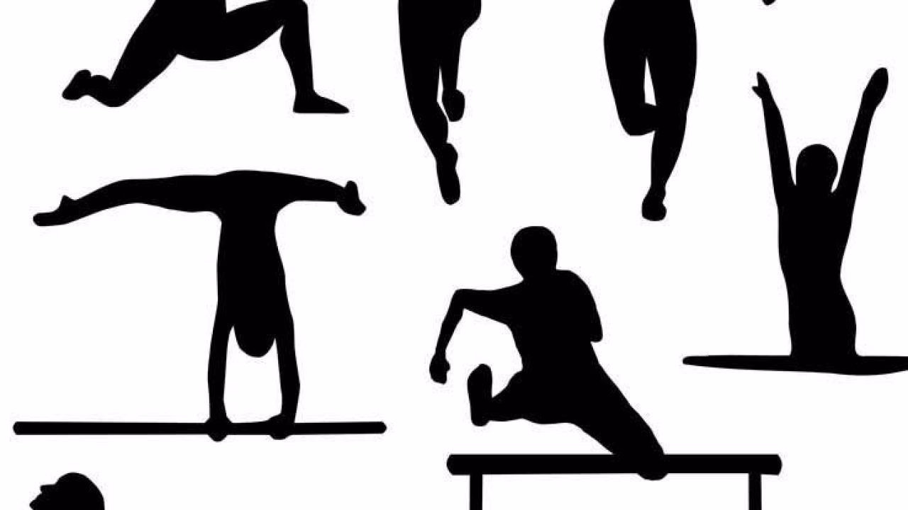 ¿Cuál es la relación entre la actividad física y el deporte?