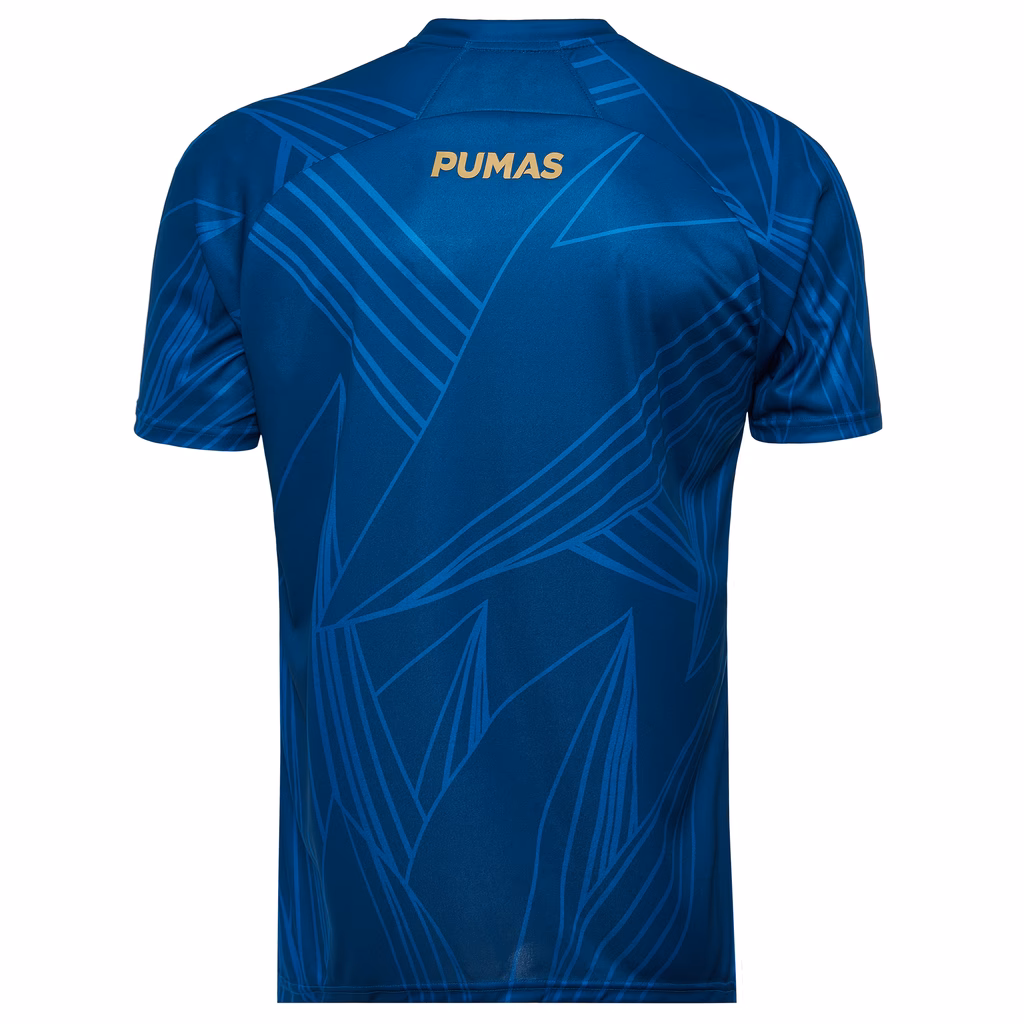 ¿Quién inventó los pumas?