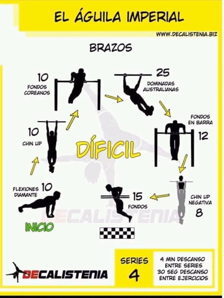 ¿Cuáles son los ejercicios básicos de calistenia?
