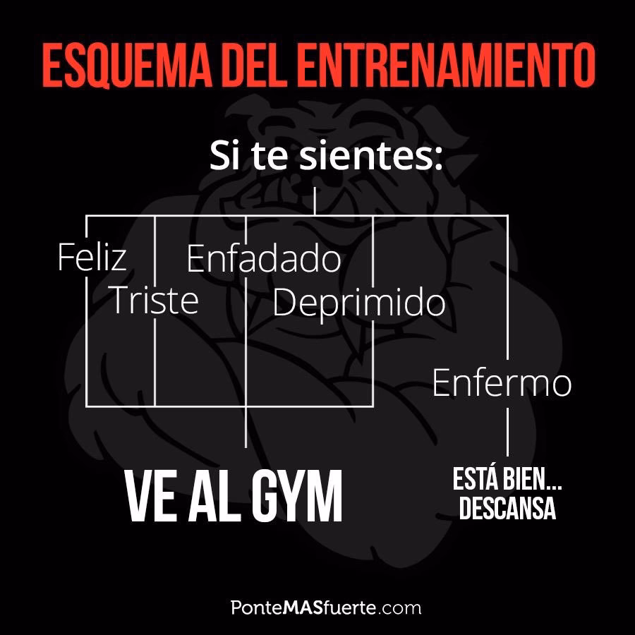 ¿Cuando estoy triste voy al gimnasio.?