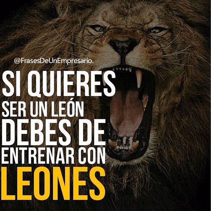 ¿Qué significa luchar como un león?