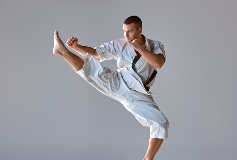 Who is the best Taekwondo fighter?