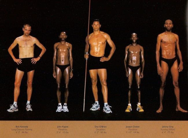 ¿Cuáles son los 3 biotipos?