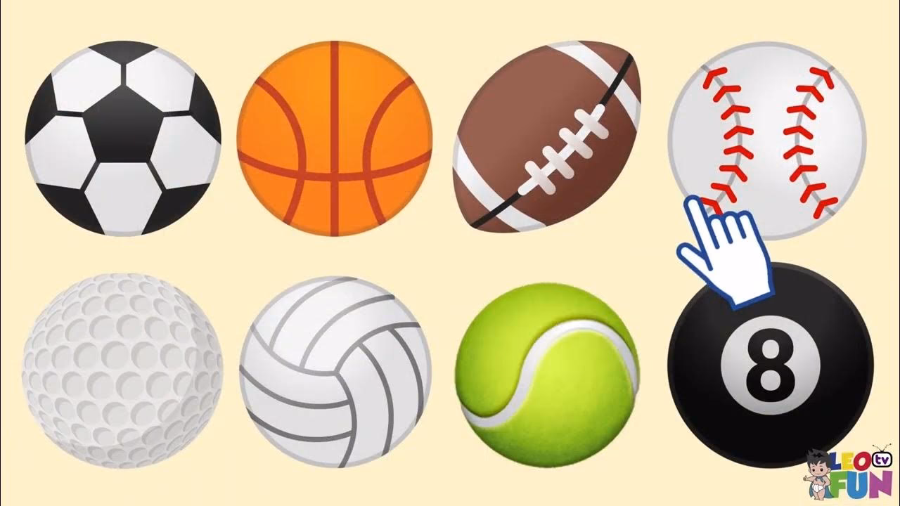 ¿Cuáles son los diferentes tipos de pelotas de ejercicio?