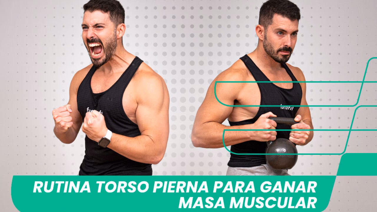 ¿Cuál es el entrenamiento de torso?