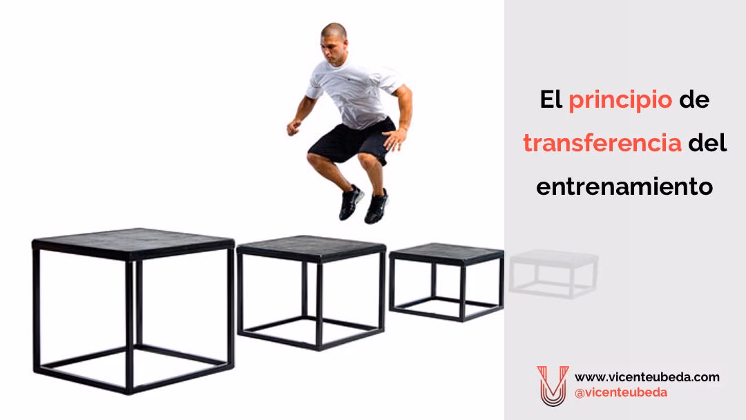 ¿Qué es la transferencia en el deporte?