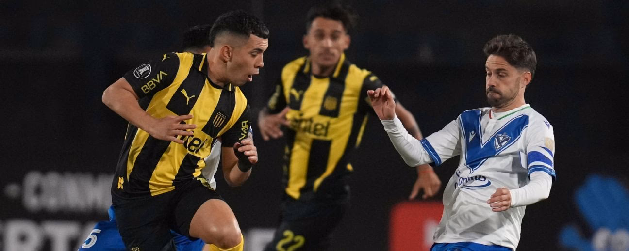 ¿Qué significa la palabra Vélez Sarsfield?